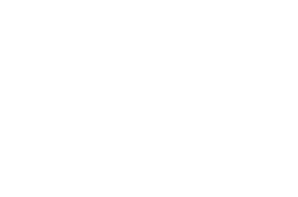 Logo RVI