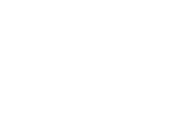 Logo Vigilo 4 you