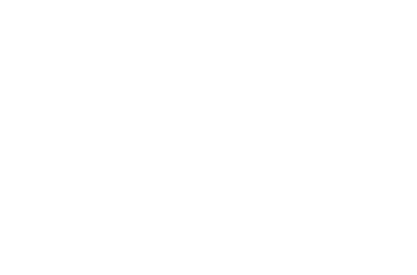 Logo Wolf Sicurezza